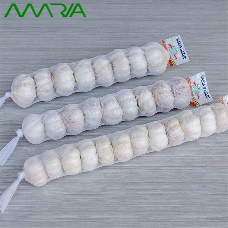 New Fresh White Garlic