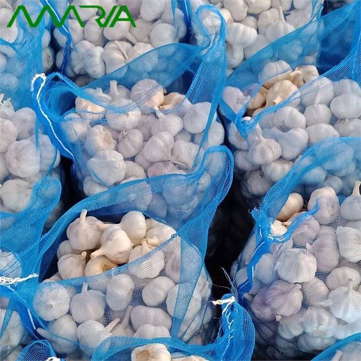 New Fresh White Garlic