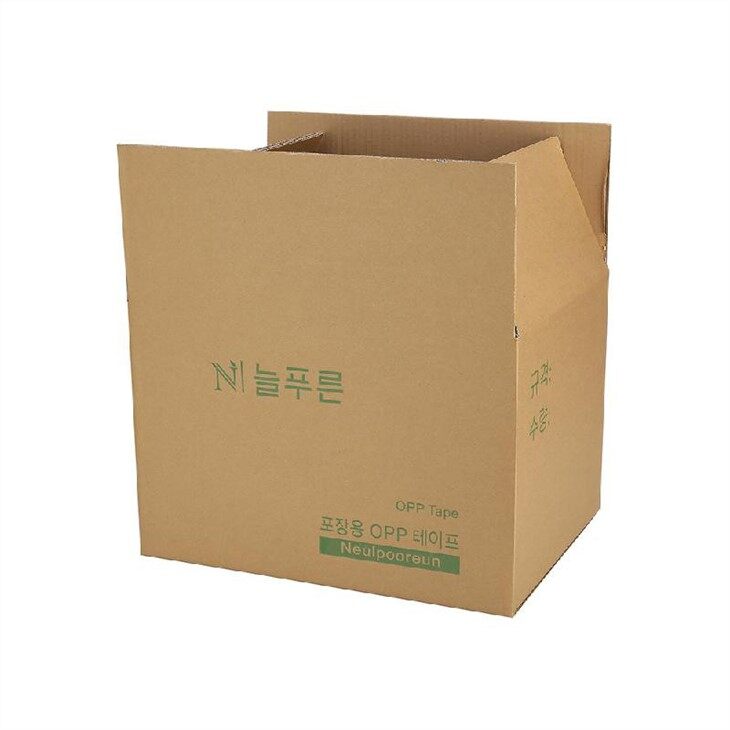 Corrugated Carton