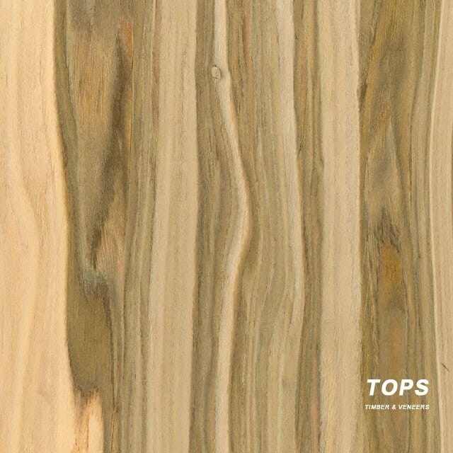 Apple Wood Veneer