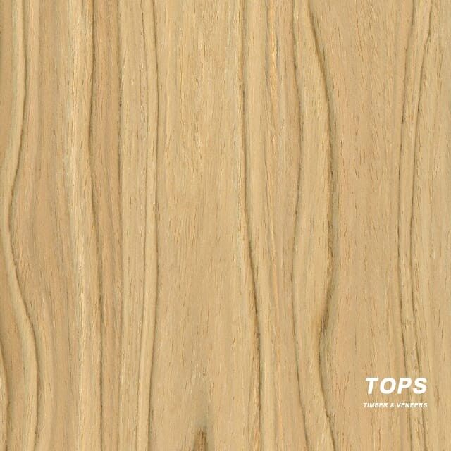 Olive Wood Veneer
