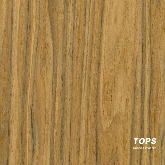 Olive Wood Veneer