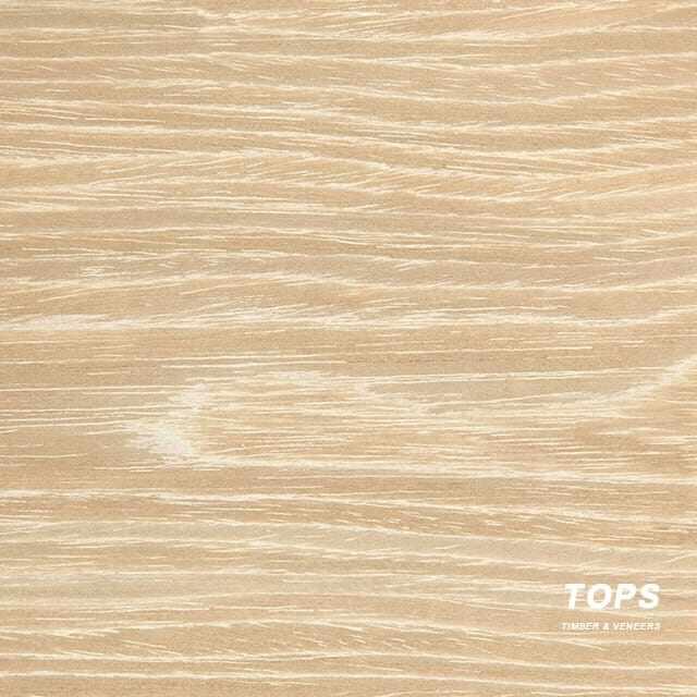 Veneer Kayu Oak Putih Recon