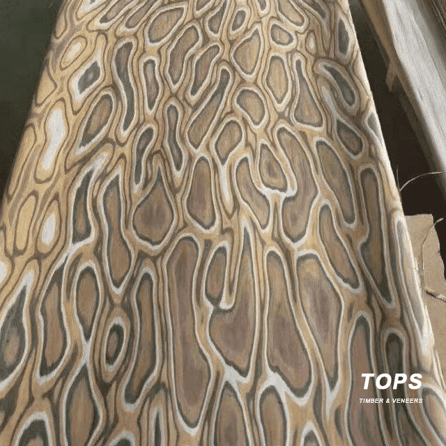 Reconstituted Pine Veneer