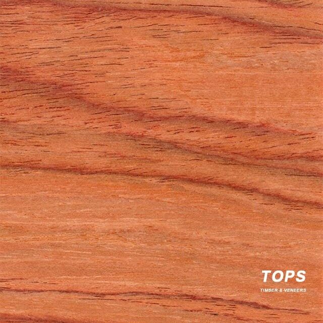 Rosewood Veneer