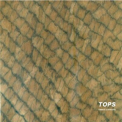 Rekonstituirani furnir mreže