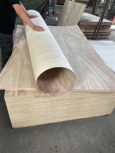 MLH Flexible Plywood
