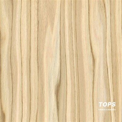 Chapa de madera de olivo