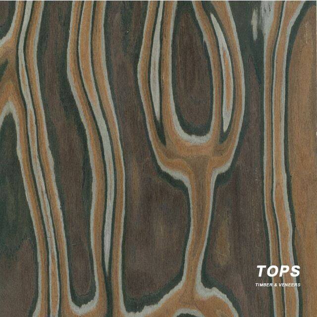Tree Burl Technology Veneer
