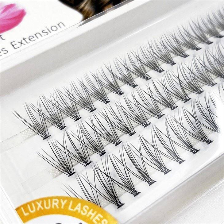 lash extension