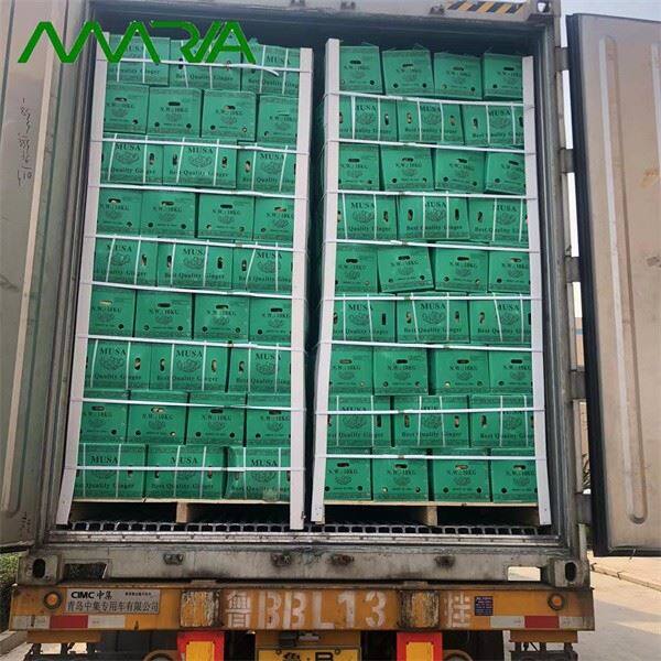 New Season Fresh Ginger