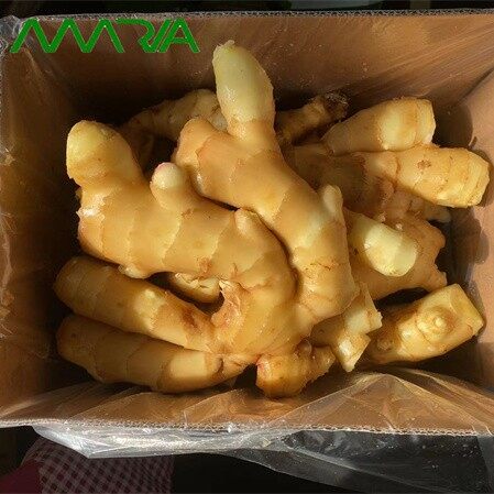 New Season Fresh Ginger