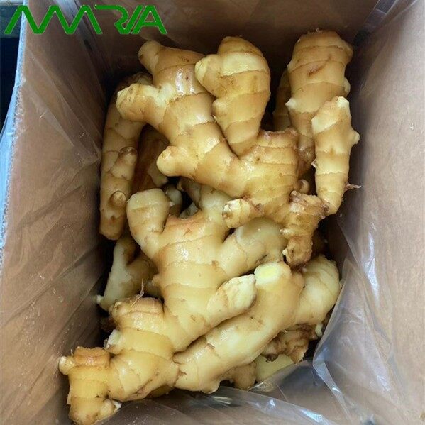 New Season Fresh Ginger