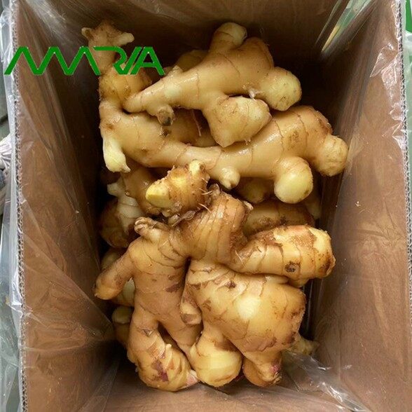 New Season Fresh Ginger