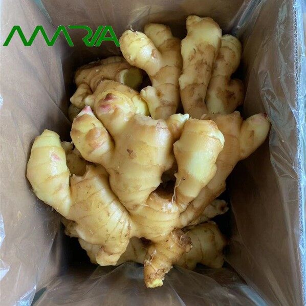 New Season Fresh Ginger