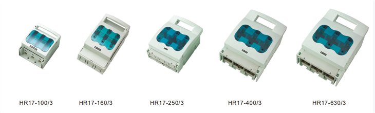 High Breaking Capacity 2P Fuse Holder For NH Fuse