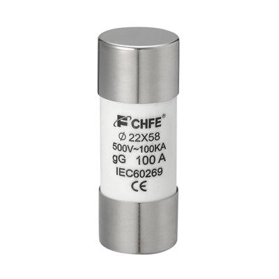 Cylindrical 100A GG Fuse Link