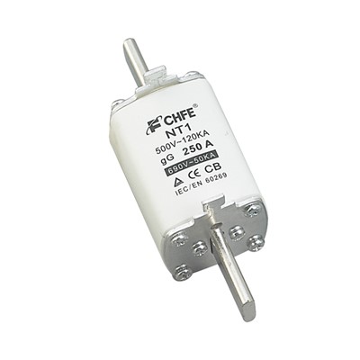 NT Type 250A Cut Out Fuse