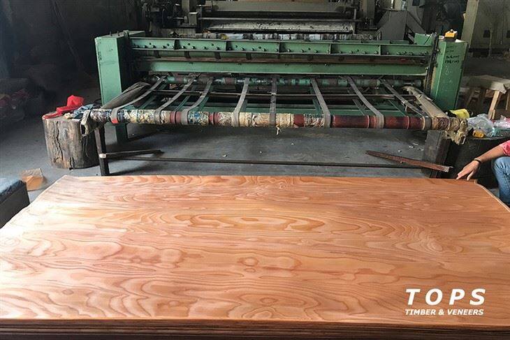 Rotary Cut Beech Veneer