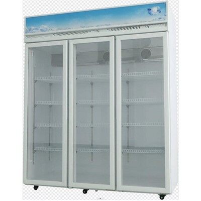 Refrigerador de puerta pequeña