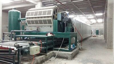 Mašina za pravljenje posude za jaja sa mašinom za sušenje