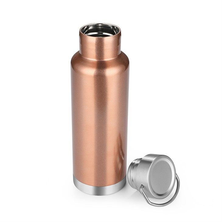 Double Wall Insulated Stainless Steel Tumbler Travel Mug Water Bottle