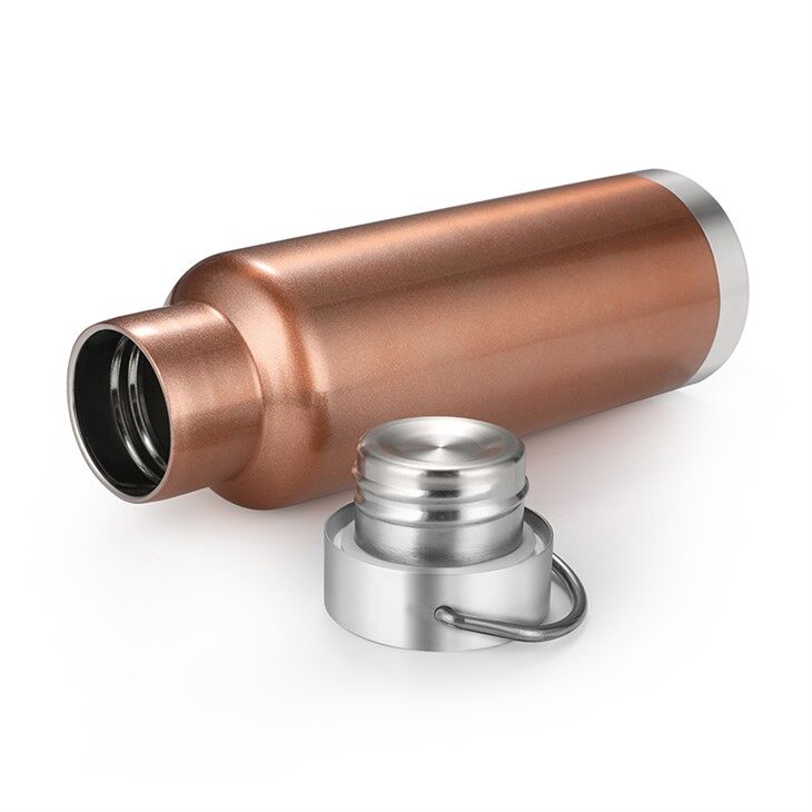 Double Wall Insulated Stainless Steel Tumbler Travel Mug Water Bottle