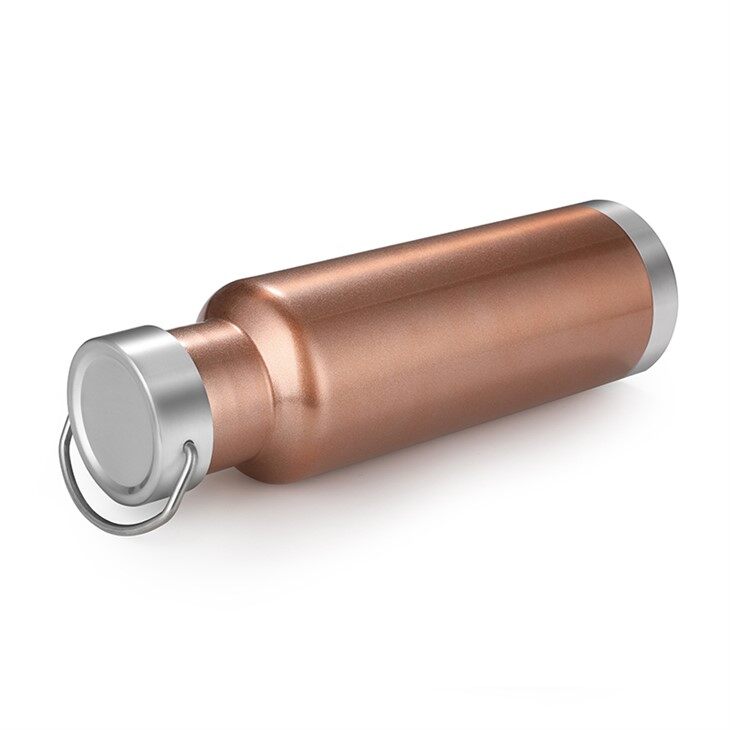 Double Wall Insulated Stainless Steel Tumbler Travel Mug Water Bottle