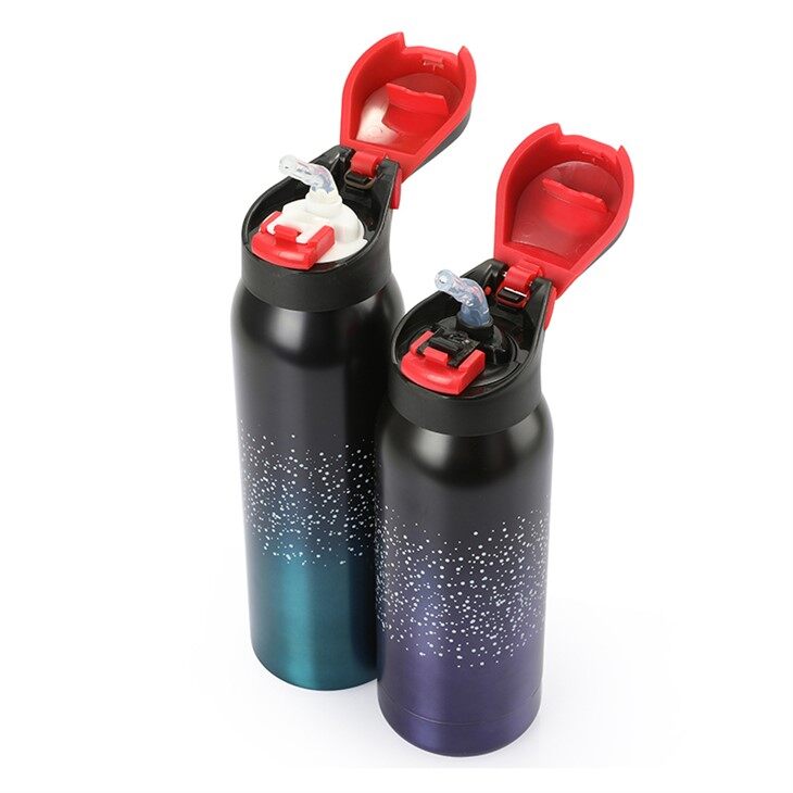 Stainless Steel Water Bottle with Carabiner