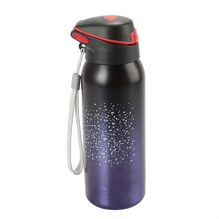 Stainless Steel Water Bottle with Carabiner