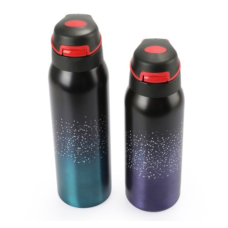 Stainless Steel Water Bottle with Carabiner