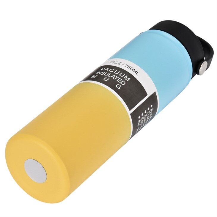 Water Bottle With Straw Lid