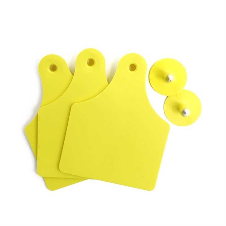 cow number ear tags