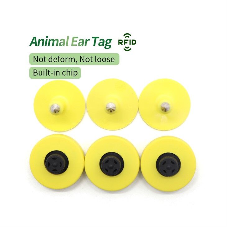 cow number ear tags