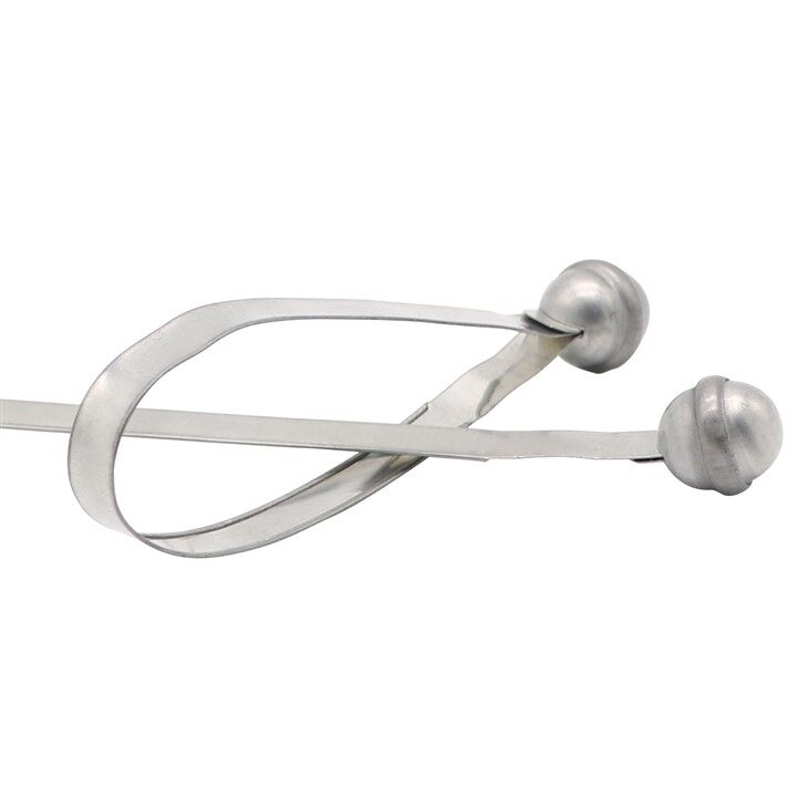 container metal strap seal