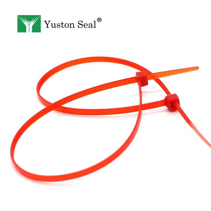 fire extinguisher seal ties