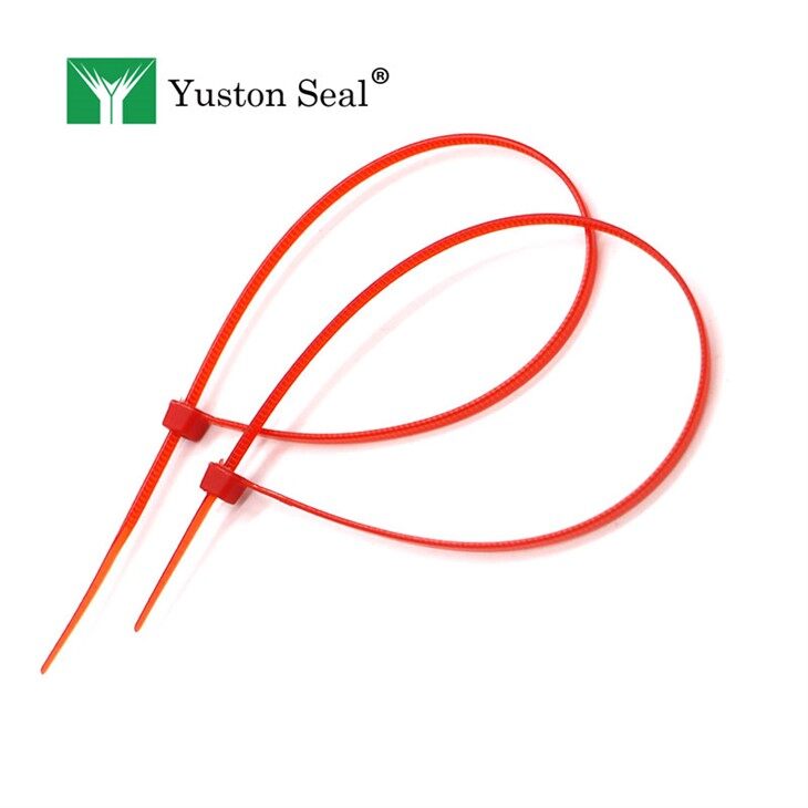 cable tie seal