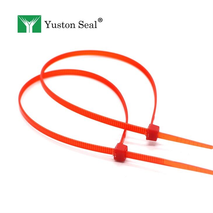 Nylon cable tie