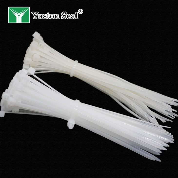 cable tie seal_