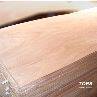 Natural Wood Veneer Okoume Face Veneer factory