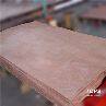 Natural Wood Veneer Okoume Face Veneer suppliers