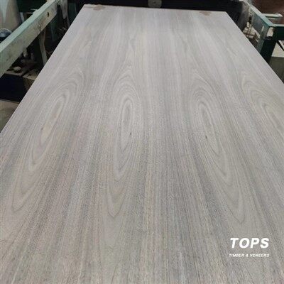 Walnut Veneer Plywood suppliers