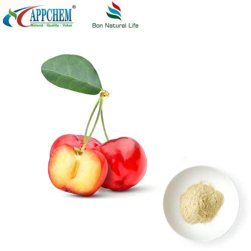 Acerola Cherry Extract Powder 17% suppliers 