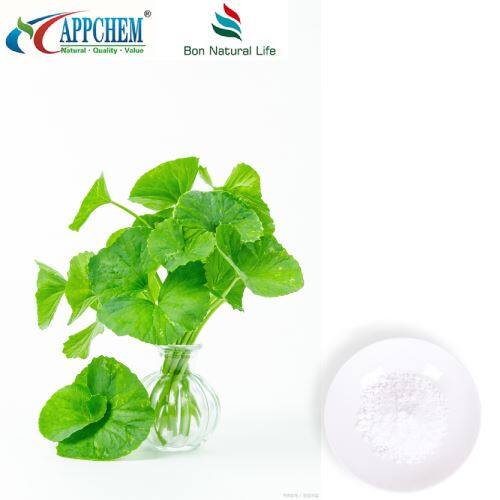 Asiaticoside Powder factory