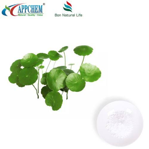 Asiaticoside Powder suppliers