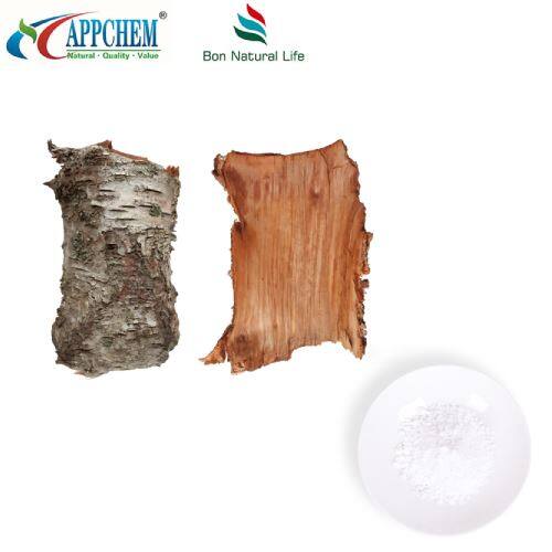 Birch Bark Extract Betulin Powder