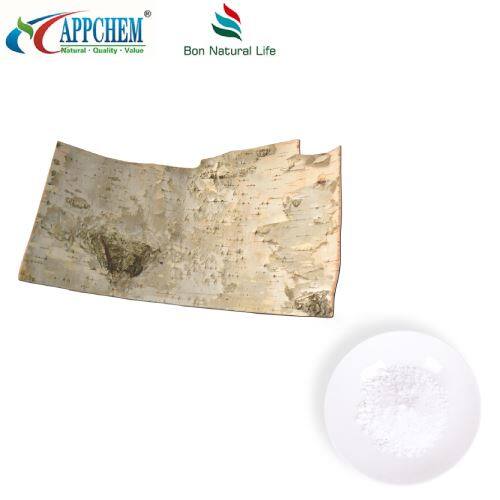 Betulin Powder 95 factory CAS No:473-98-3