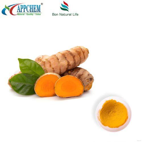 Poudre de curcumine HPLC95%; Curcuminoïdes; Extrait de curcuma