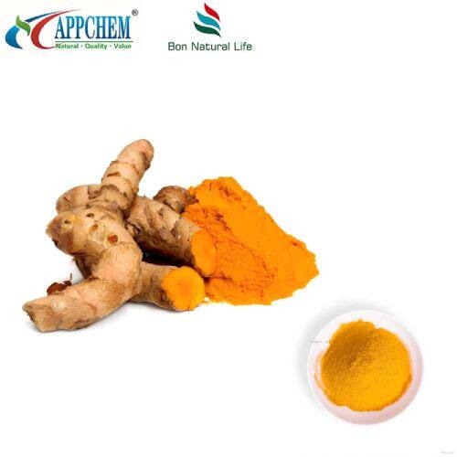 Curcumin Powder HPLC95% best-quality