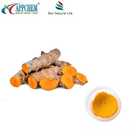 Curcumin Powder HPLC95% suppliers CAS No.:458-37-7